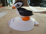 Puffin van schelpen