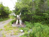 Toch weer wild op de route,stenen Moose