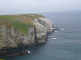 Bird Rock