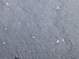 In vogelvlucht