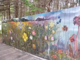 Bloemenpracht