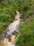 Van stroompje naar waterval
