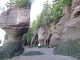 Hopewell Rocks