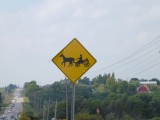 Let op koetsen met paard,Mennonieten Gemeenschap in Ontario