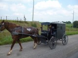 Mennonieten op weg naar de markt