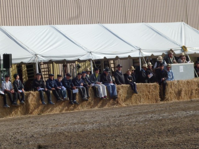 Mennonieten op veiling