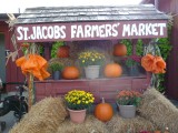 Pumpkins