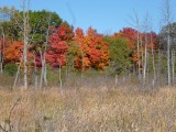 Indian Summer