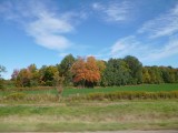 Indian Summer
