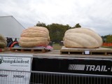 Pumpkin Festival Port Elgin