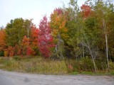 Indian Summer