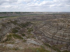 Limestone rotsformaties in Horse Thief Canyon