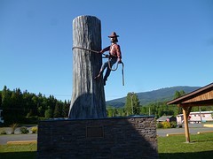 Bosbouw