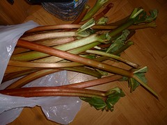 Rabarber van de farmersmarket