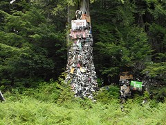 Schoenenboom