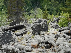 Lavabeds