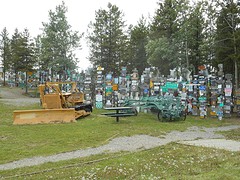 Sign Forest