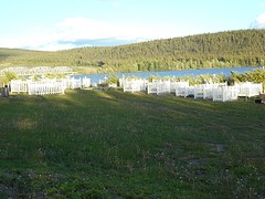 Begraafplaats Teslin
