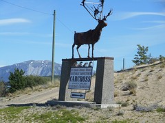 Carcross