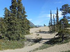 Mini desert nabij Carcross