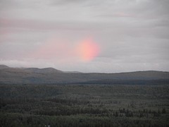 Regenboog pluim