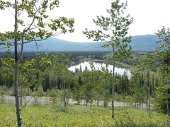 Devils Elbow (Moose  habitat)
