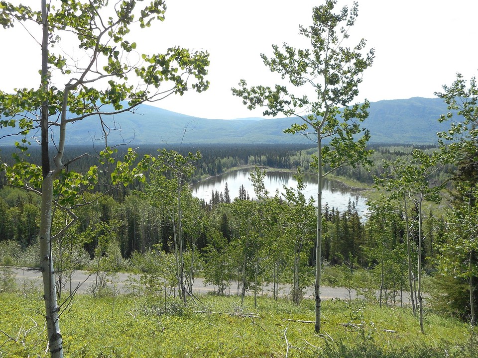 Devils Elbow (Moose  habitat)