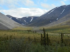 Berg en Dal