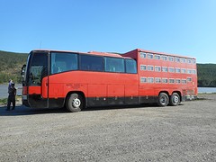 Duitse touringcar/konijnenbus