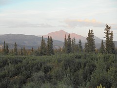 Uitkijkje Denali Highway