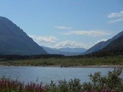 Vanaf Denali Highway