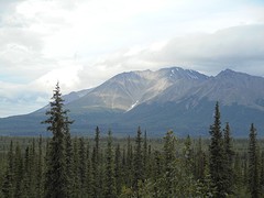 Uitkijkje Denali Highway