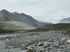 Uitzicht op de Gakona Glacier