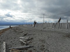 Schiereiland  Comox