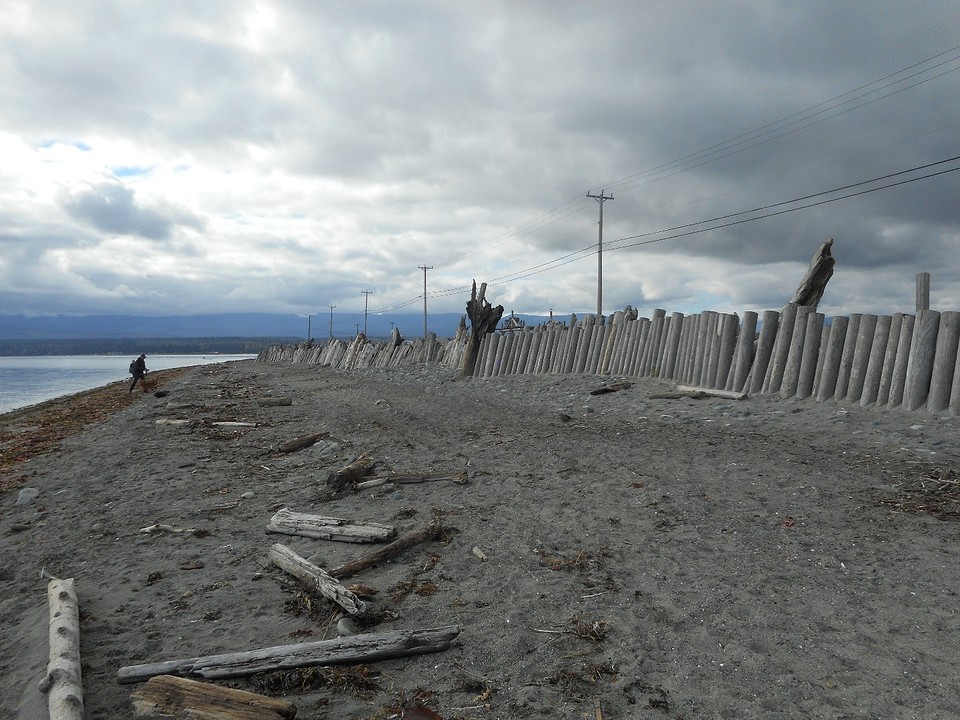 Schiereiland  Comox