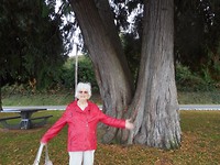 Doris ten voeten uit
