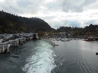 Vertrek Horseshoe Bay naar Vancouver Island