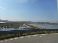 Onderweg naar Mortara rijstvelden