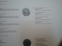 In het opgravingsgebied veel munten gevonden