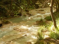 Wild waterbaan