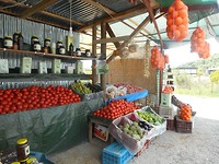 Onderweg kersen gekocht bij een fruitstalletje