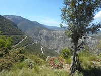 Via kronkelwegen
