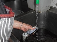 Schoonmaken van de Squid (soort inktvis)