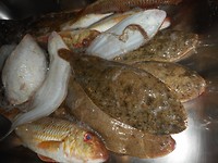 Diverse soorten op het menu