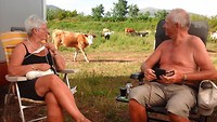 Een herder met zijn kudde komt langs.
