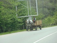 Paard en wagen passeert modern reclamebord