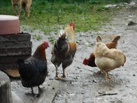 Beetje onscherp,maar wil hem jullie niet onthouden