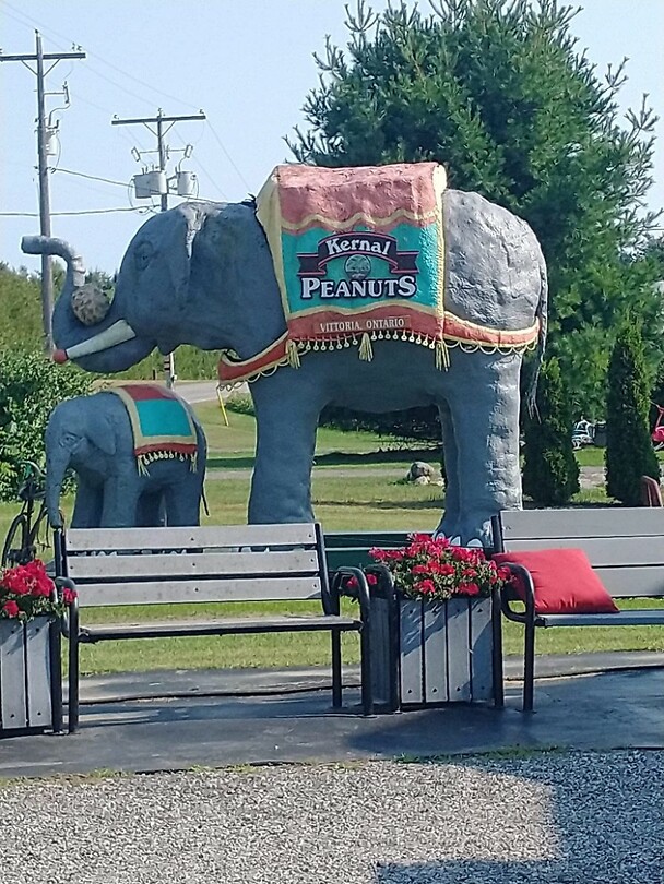 Bezoek Kemal Peanuts  Farm Victoria Ontario