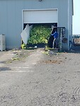 Tobacco Farm