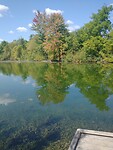 Ken Whillians Conservation Area